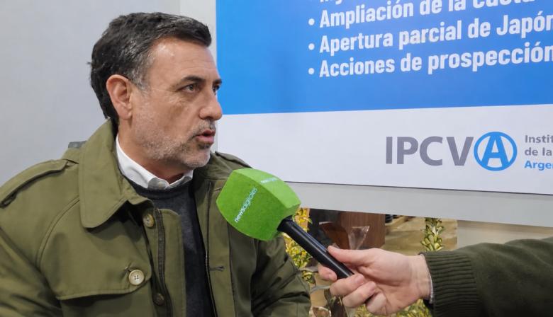 La carne vacuna no repunta: por qué el consumo en Argentina sigue estancado