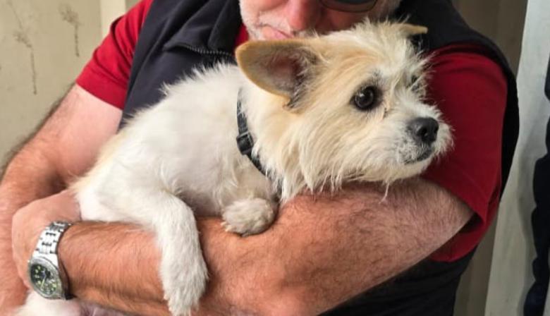 Rescataron a una perra víctima de maltrato animal en el barrio de Villa Santa Rita