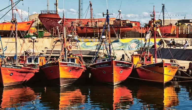 Pesca ilegal y registro de información: Diputados analiza un nuevo sistema de trazabilidad