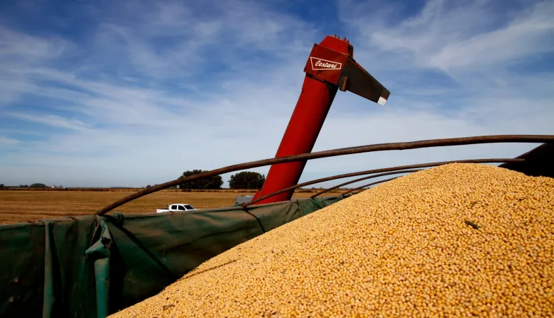 Impuestos: el Estado se queda con $58 de cada $100 que genera el campo