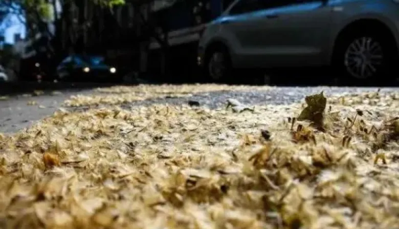 Cómo evitar la pelusa amarilla en Buenos Aires con un mapa para tu recorrido