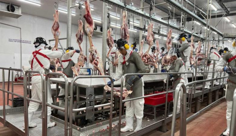 Veto a Brasil: qué oportunidad se abre para la carne vacuna argentina en Europa