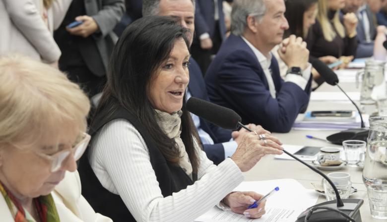 Discapacidad con dictamen en Diputados: las 4 claves del proyecto de LLA