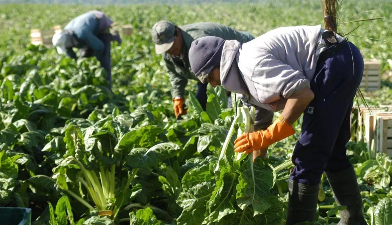Día del Trabajador Rural: por qué se celebra el 8 de octubre y cuál es su origen