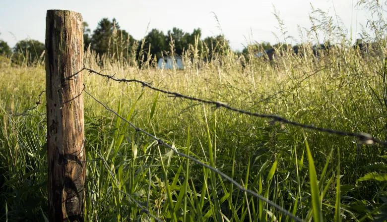 Diputados vota el proyecto de vandalismo rural: de qué se trata y por qué genera debate