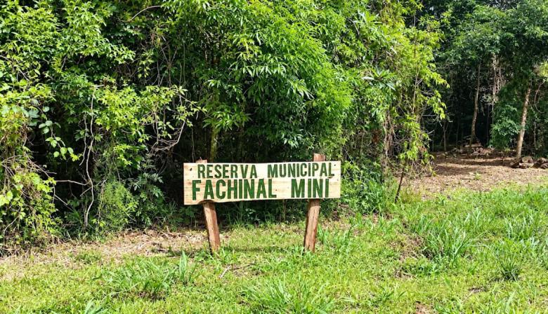 Nueva reserva natural en Misiones: la insólita multa que arriesga quien la dañe
