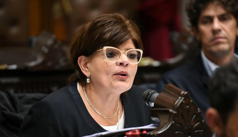 Firmó para voltear el DNU 70 de Milei en Diputados y faltó: quién es María Inés Zigarán