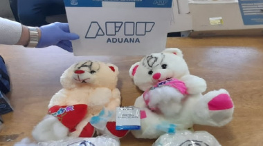 Hallan ositos de peluche impregnados con cocaína: iban a ser enviados a Hong Kong