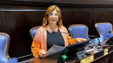 Es verdad aunque usted no lo crea: diputada de Unión por la Patria presentó un proyecto para declarar al inodoro como “un lugar para la paz”