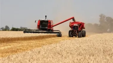 Con el impulso del campo, los bancos aumentaron la emisión de créditos