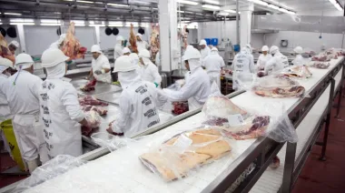 Las exportaciones de carne vacuna cayeron un 28,4% y siguen sin levantar cabeza