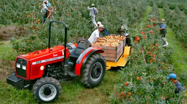 Denuncian graves irregularidades en la intervención de Osprera, la obra social de los trabajadores rurales