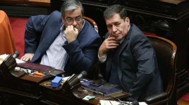 La oposición impulsa la emergencia en discapacidad y busca dictamen en Diputados