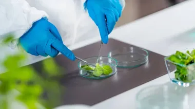 Argentina apunta a crecer un 12% anual en el mercado de bioinsumos