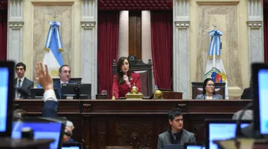 El Senado se prepara para tratar Ficha Limpia