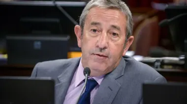 Cobos: “Ficha Limpia nunca fue un interés supremo para el Gobierno”