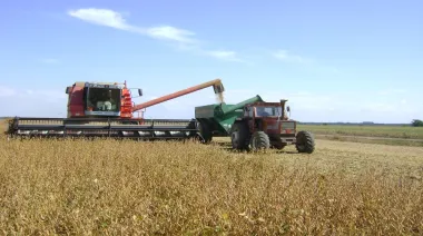 Retenciones: el campo celebró la prórroga en trigo y cebada, pero reclamó la quita en soja
