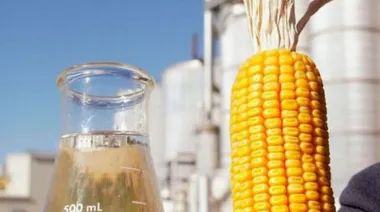 Maíz, energía y dólares: cómo es el biocombustible que Argentina aún no aprovecha