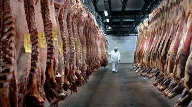 La carne vacuna argentina mejora precios, pero pierde terreno frente a Brasil y Paraguay
