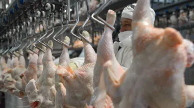 Japón levanta restricciones y la carne aviar argentina regresa después de cuatro meses