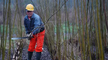 Deforestación: fuerte reclamo de Argentina tras la decisión de la Unión Europea