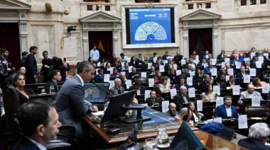 Se aprobó en Diputados la Ley de Emergencia en Discapacidad