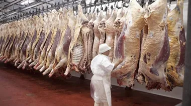 Menos oferta de carne: en mayo, la faena vacuna cayó un 5%