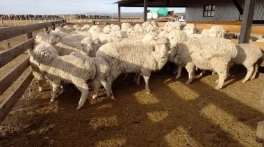 Barrera sanitaria en la Patagonia: el Gobierno prorrogó la apertura por 60 días