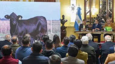 Corrientes destinará $5.200 millones para modernizar sus frigoríficos 