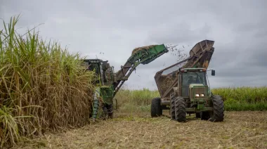 Warrants: el agro tomó crédito por $57.000 millones y U$S 1.300 millones en cuatro meses