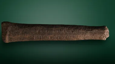 El hueso de Ishango: evidencia matemática de hace 25.000 años en África