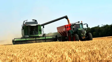 Bunge, la reestructuración del INTA y mayor cosecha de trigo: las claves de la semana 
