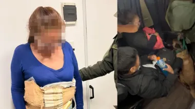 Helena, la perra de Gendarmería que delató a una pasajera que viajaba en micro con dos kilos de cocaína