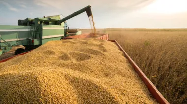 Retenciones: "Este sistema malévolo sólo genera quebrantos y desaparición de productores"