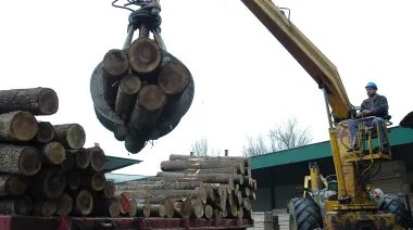 Exportación, energía y madera, los ejes del Congreso forestoindustrial de FAIMA