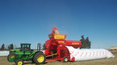 Silobolsa: ventajas, riesgos y consejos del INTA para evitar pérdidas