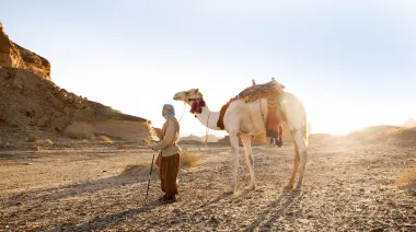 Arabia Saudita celebra el Día Mundial del Camello con carreras, ferias y cultura