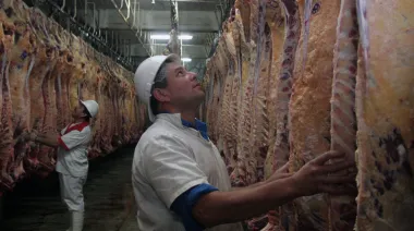 Eliminación de peso mínimo de faena: "No estamos de acuerdo, traerá problemas a futuro"