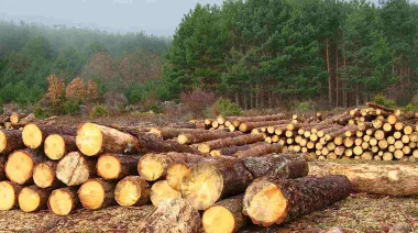 Deforestación: “El primero de enero es pasado mañana”, sostuvo Gustavo Idígoras
