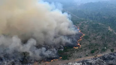 Brasil batió récord de incendios forestales en 2024 bajo el gobierno de Lula da Silva