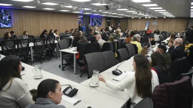 Especialistas participaron del debate por el Defensor de la Niñez