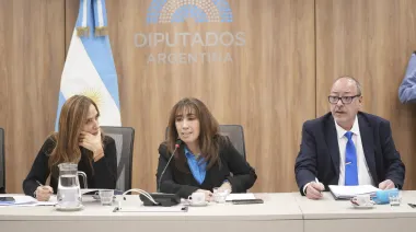 Diputados avanza con la declaración de emergencia sanitaria pediátrica