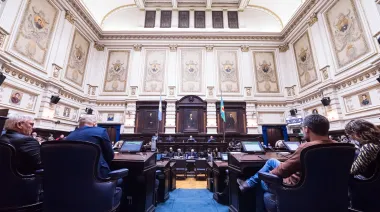 Reelecciones indefinidas: fuerte rechazo de un bloque opositor