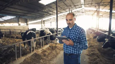 Ganadería 4.0: trazabilidad animal con chips y apps desde el campo al plato