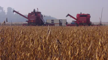 El peso de los impuestos en el agro: el 63,6% del ingreso queda en manos del Estado