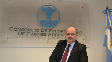 Ravettino: "Argentina es un país de riesgo bajo en deforestación"