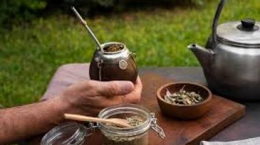 Lanzan en Argentina la primera escuela dedicada al estudio de la yerba mate