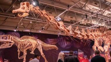 El Patagotitan llega a Buenos Aires: cómo es y hasta cuándo verlo