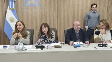 Diputados analizan proyectos sobre salud mental en infancias y adolescencias