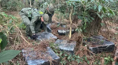Cómo fue el hallazgo de más de una tonelada de marihuana en el monte misionero